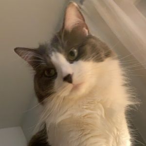 Meet your Posher, Dana